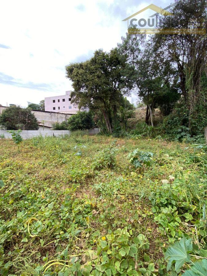 WhatsApp Image 2025-06-09 at 11.19.25 (1).jpeg